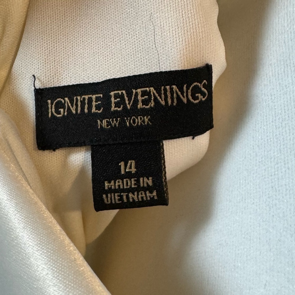Ignite Evenings NWT Vintage Chiffon Watercolor Dress - Stunning Draped Back - Picture 6 of 7